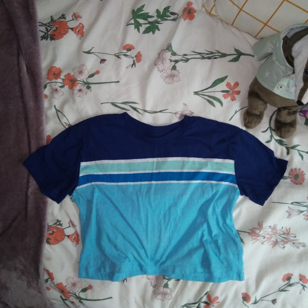 Pacsun crop top